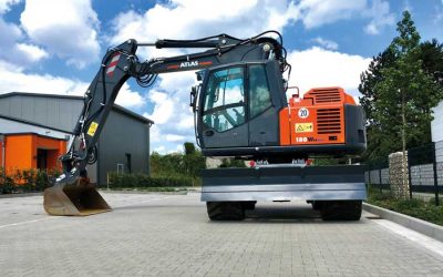 The powerful one with the short tail